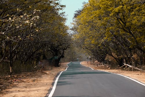 Δωρεάν στοκ φωτογραφιών με 4k, 4k ταπετσαρία, 4κ φόντο