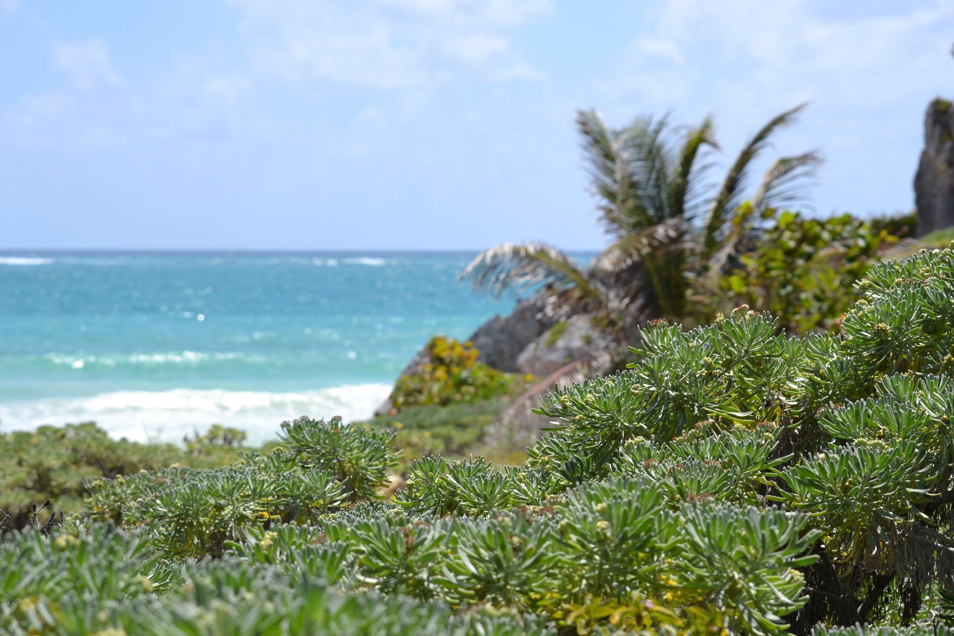 top Tulum travel tips worth knowing