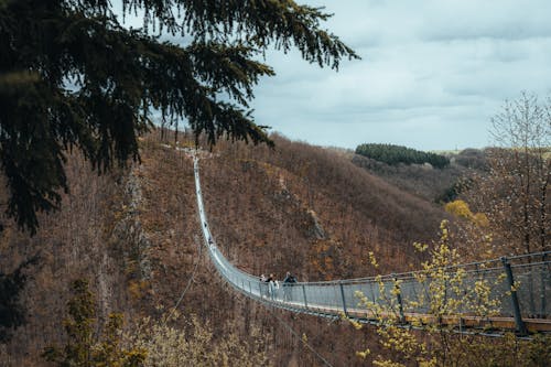 A person walking on a suspension bridge over a valley