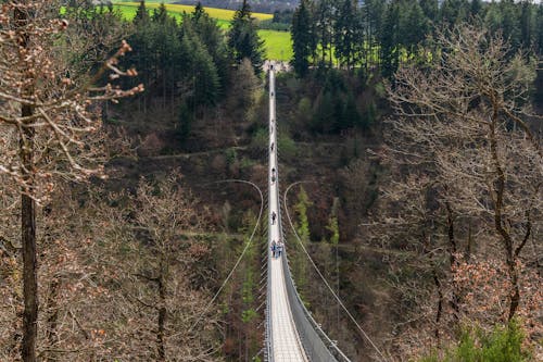A long suspension bridge over a valley