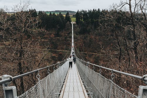 A person walking on a suspension bridge over a forest