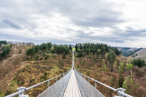 A suspension bridge over a forested area