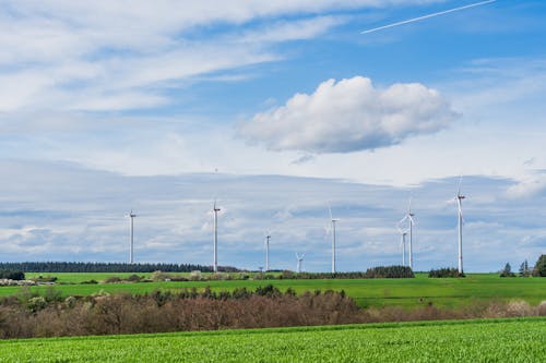 Wind turbines in a field with a blue sky