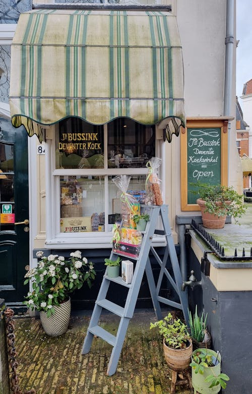 A ladder is leaning against a building with a green awning