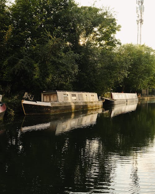 Foto stok gratis bahtera, Daun-daun, kanal