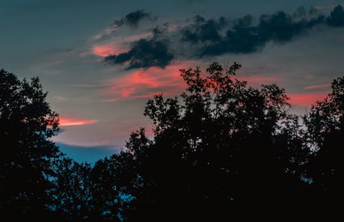 日没, 美しい夕日の無料の写真素材