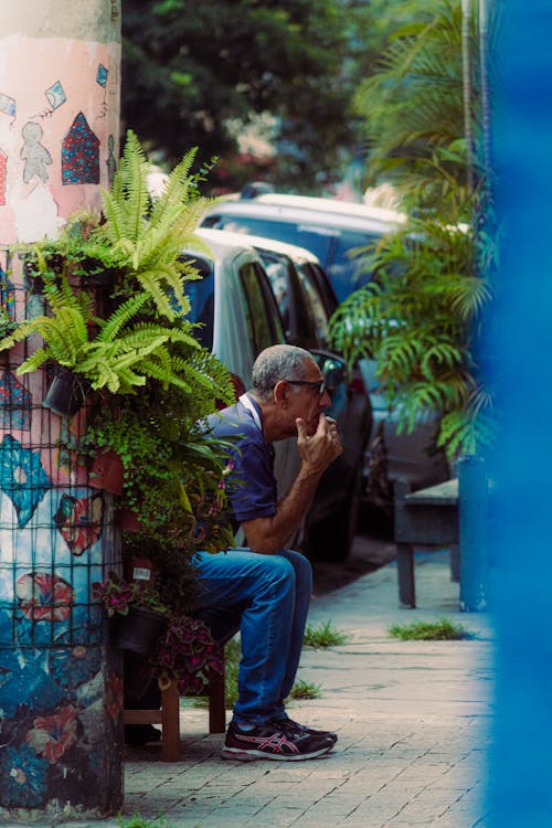 adam, Bank, bitkiler içeren Ücretsiz stok fotoğraf