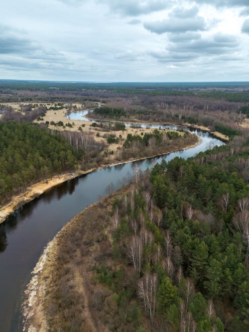 An aerial view of a river and forest