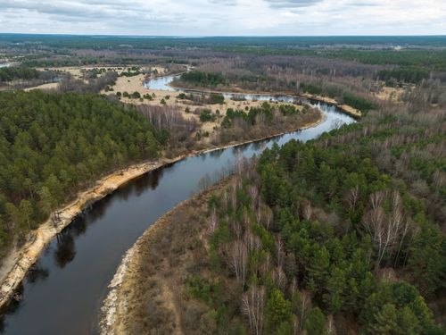 Free Stunning aerial view of a river winding through a lush forest landscape under overcast skies. Stock Photo