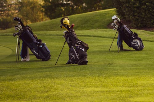 Foto d'estoc gratuïta de bosses, curs de golf, equips