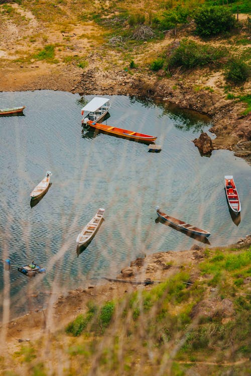 강, 경치, 관광의 무료 스톡 사진