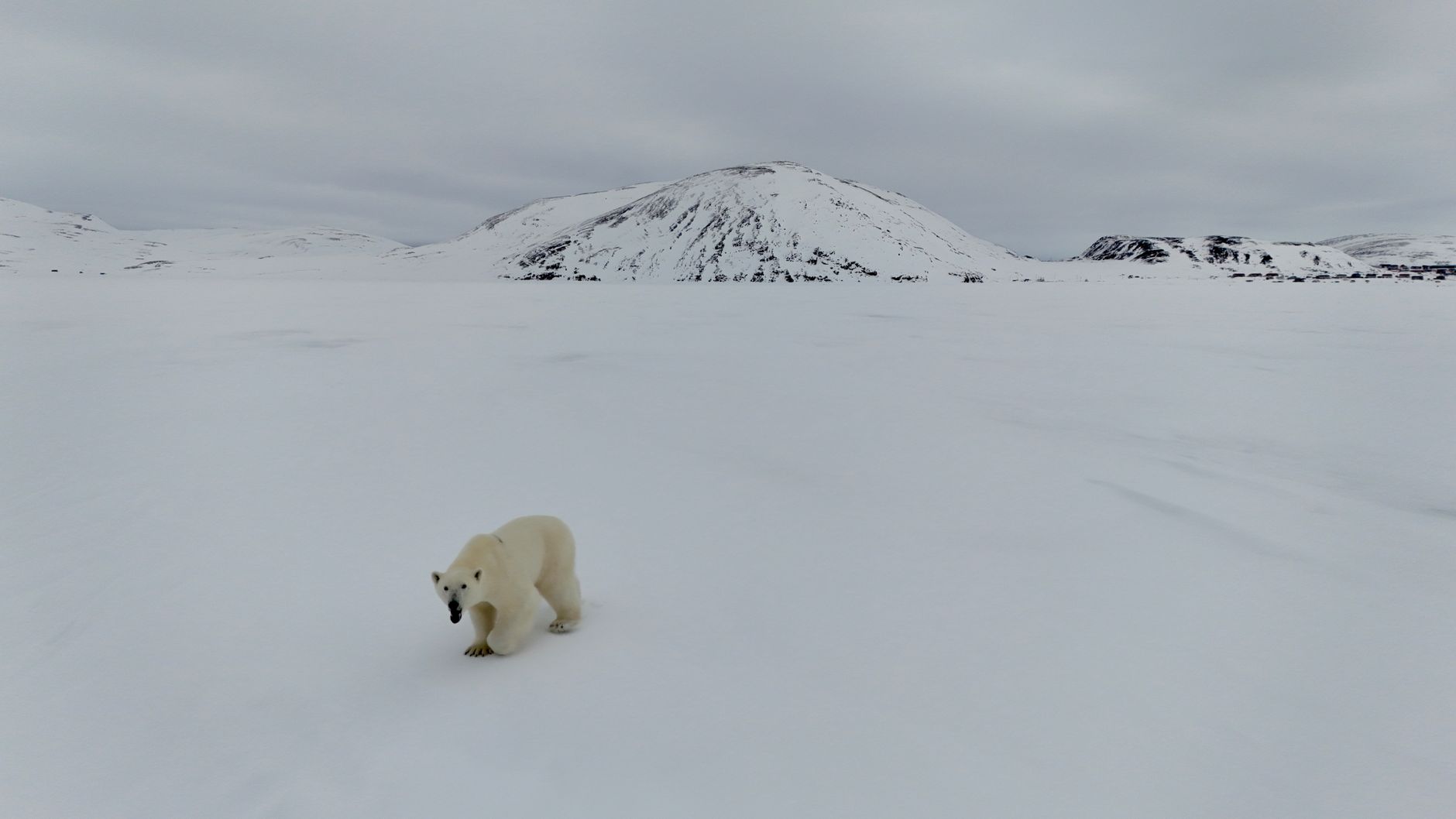 Churchill, Canada
