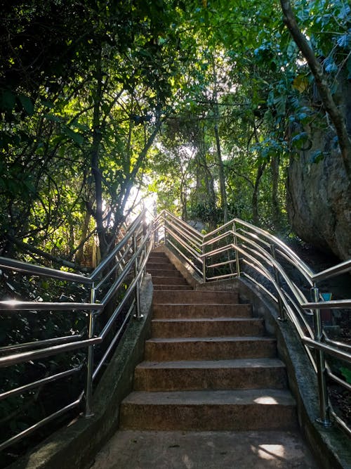 A staircase leading up to a forested area