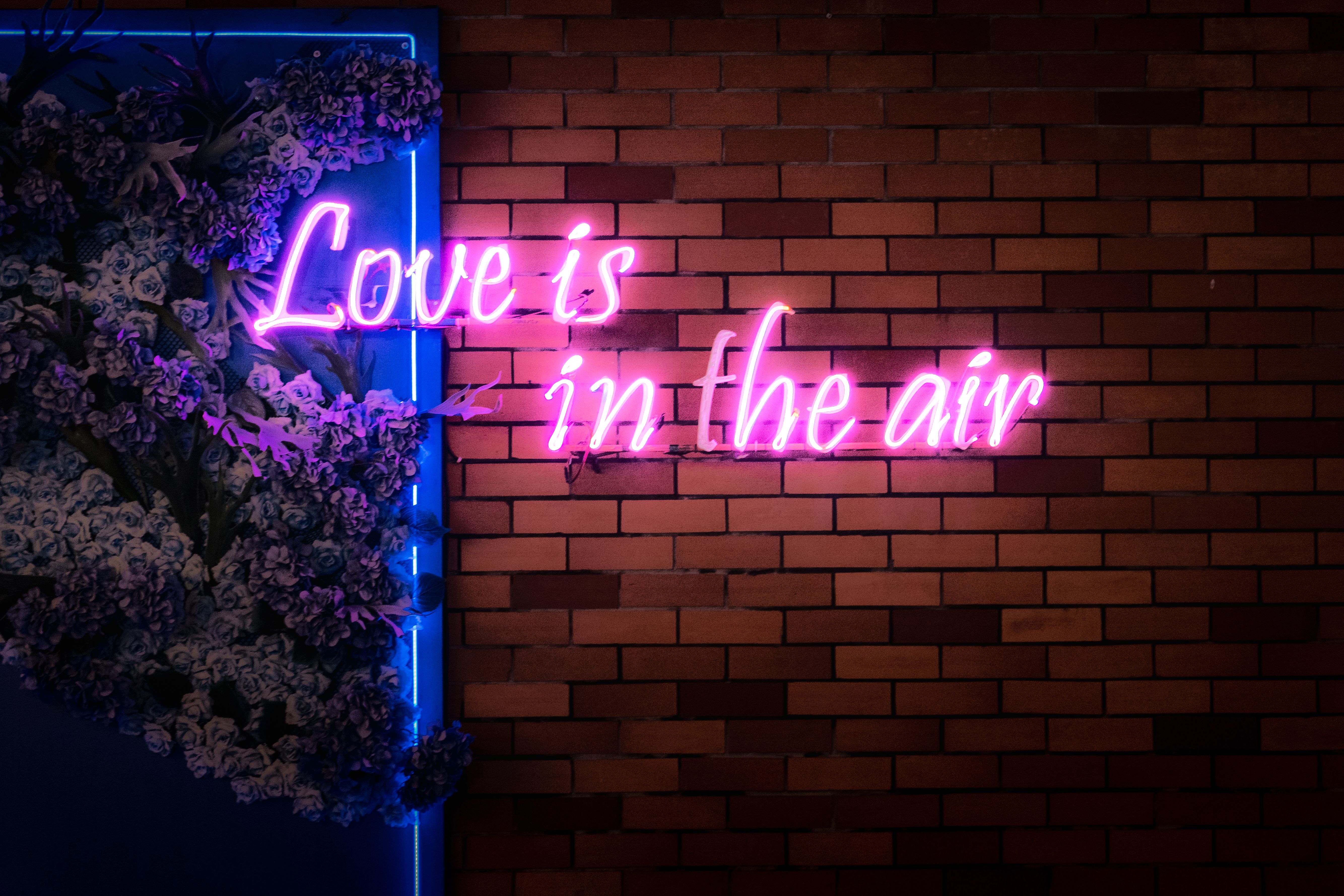 Ultimate Gift Guide: Statement Wall Pieces for Home Decor Lo