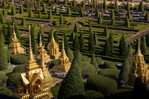 Безкоштовне стокове фото на тему «буддист, будівлі, дерева»