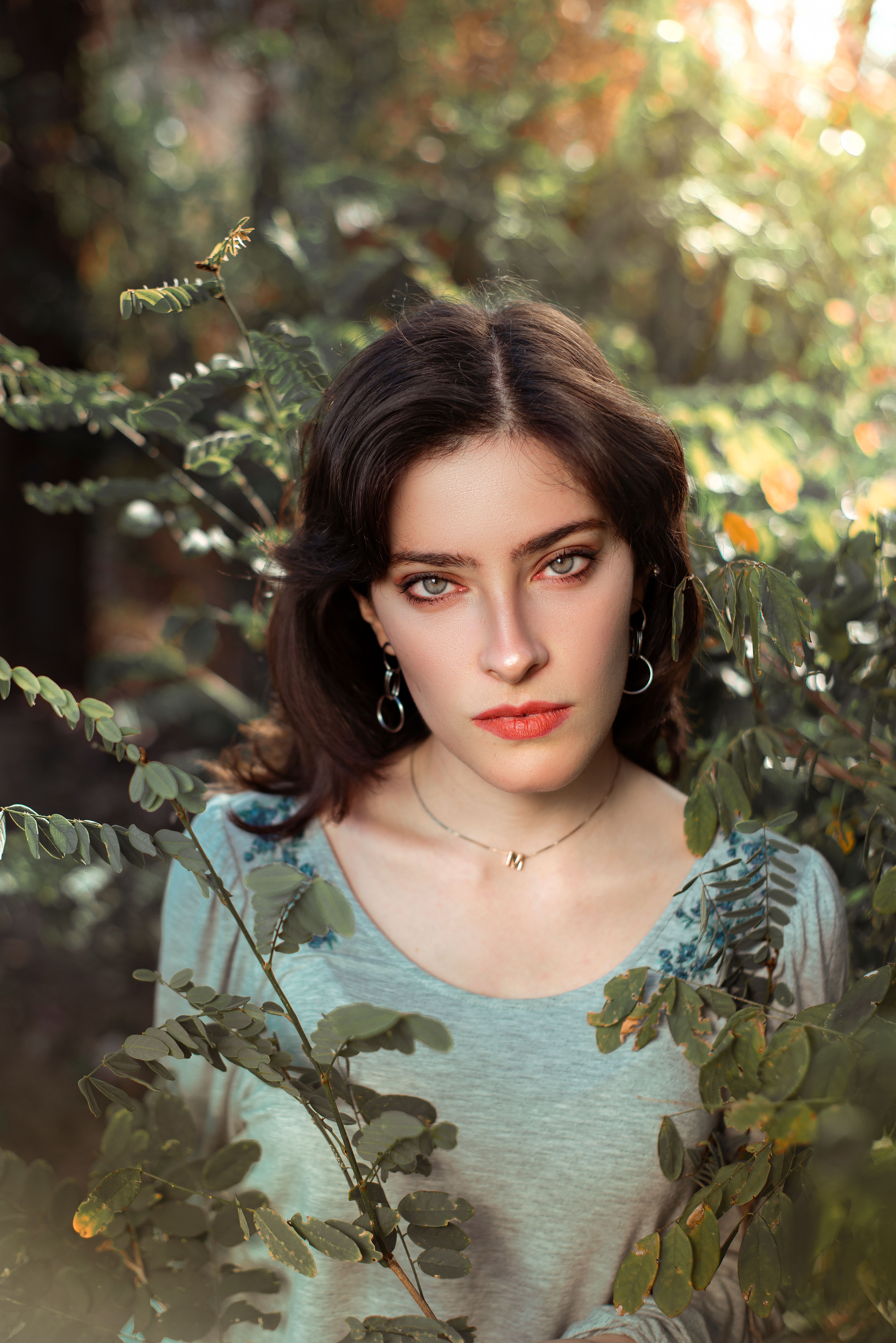 Young Woman Standing between Green Shrubs in a Forest · Free Stock Photo