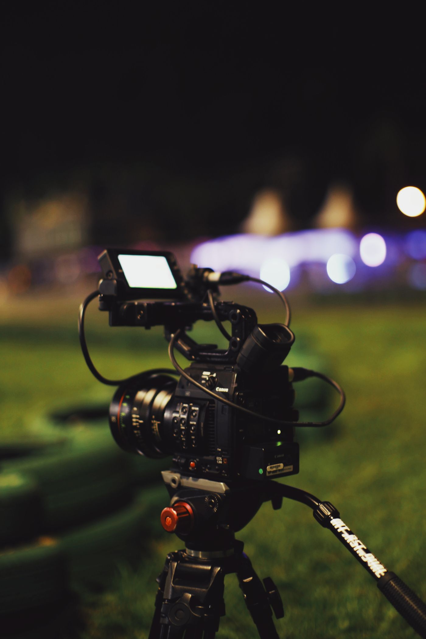 Director portrait