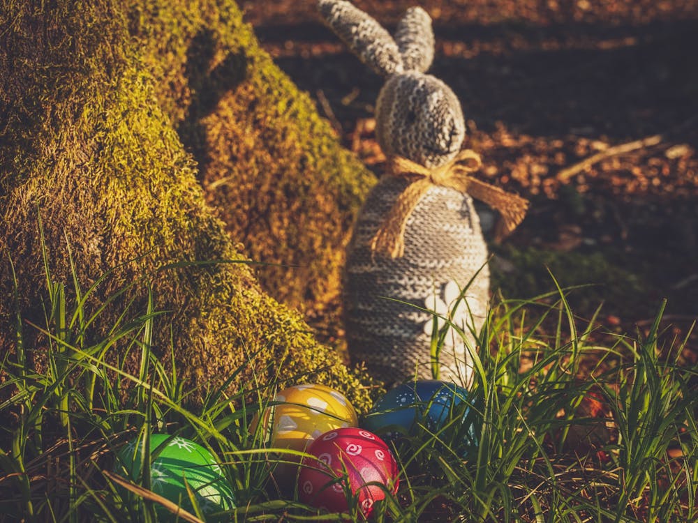 Free Easter Bunny And Eggs On Grass Field Stock Photo