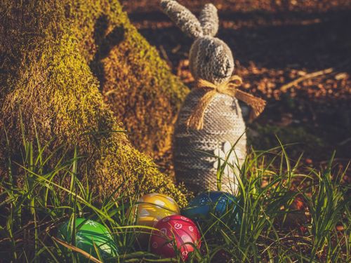 Free A charming Easter scene with colorful eggs and a rustic bunny in a natural outdoor setting. Stock Photo