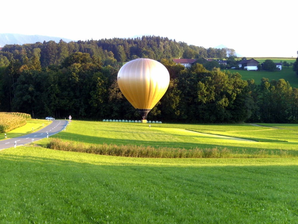 gratis Beige Hete Luchtballon Op Groen Gras Stockfoto