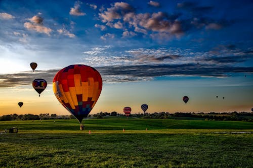 Balon Udara Panas Aneka Warna Di Lapangan Rumput Selama Golden Hour