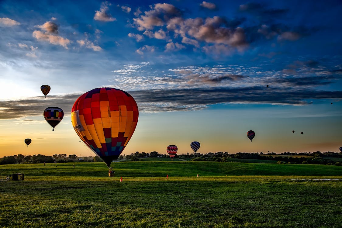 Ücretsiz Altın Saatte çim Alanında çeşitli Renkli Sıcak Hava Balonları Stok Fotoğraflar