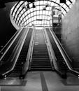 室内自动扶梯在黑白拱形天花板下呈现出戏剧性的透视效果
