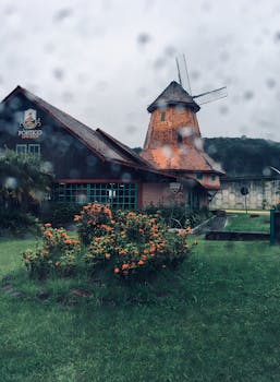 乡村砖风车在雨天被盛开的花朵环绕