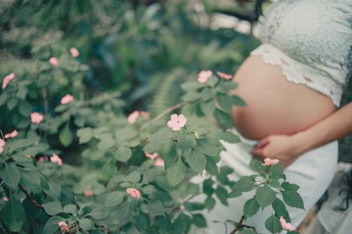 Free Pregnant woman gently holding belly in a leafy garden with pink flowers. Stock Photo