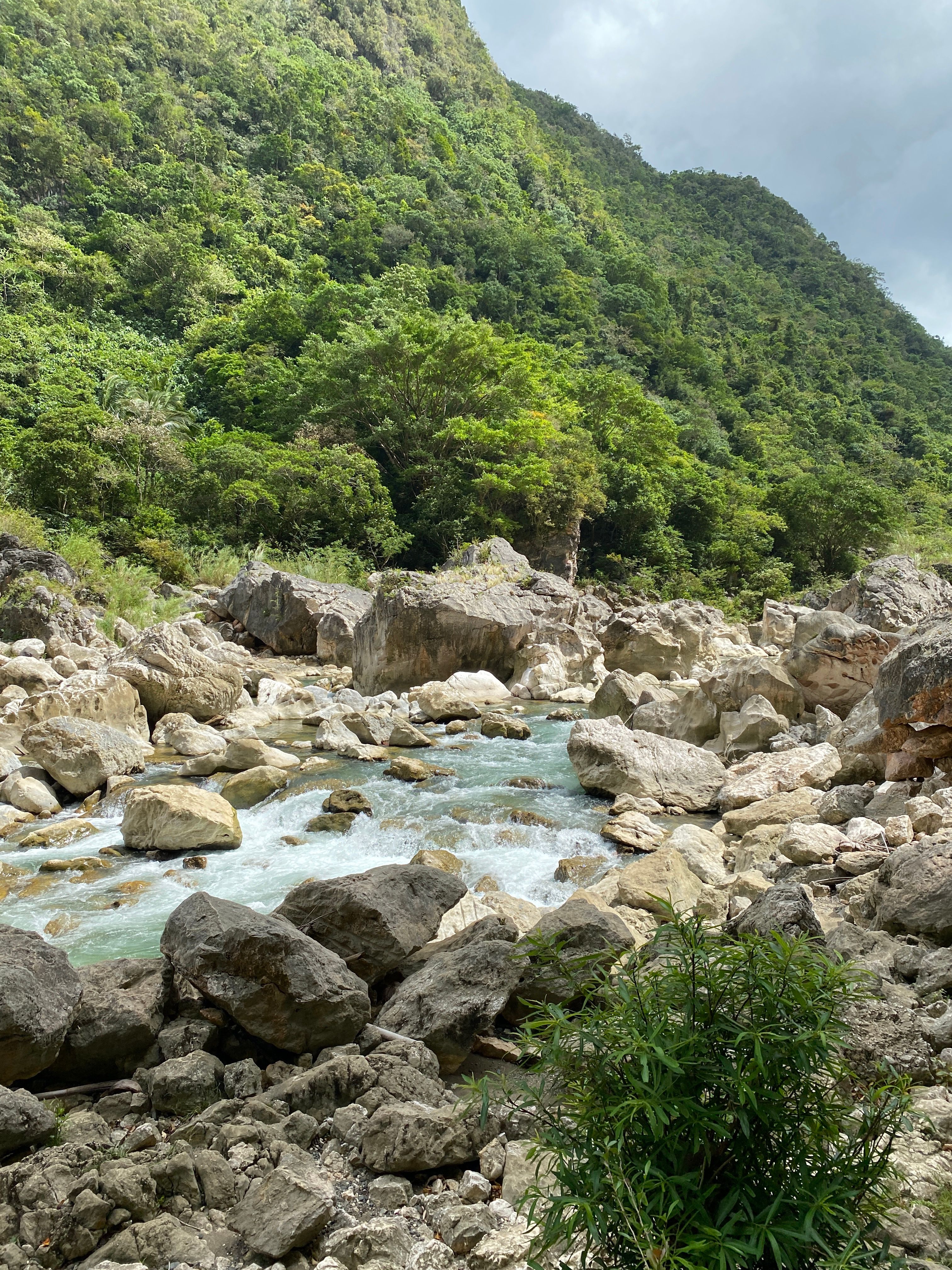 A river running through a rocky area with trees · Free Stock Photo