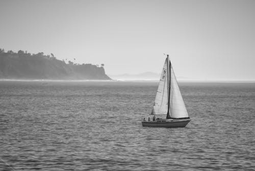 Základová fotografie zdarma na téma černobílý, horizont, mlha