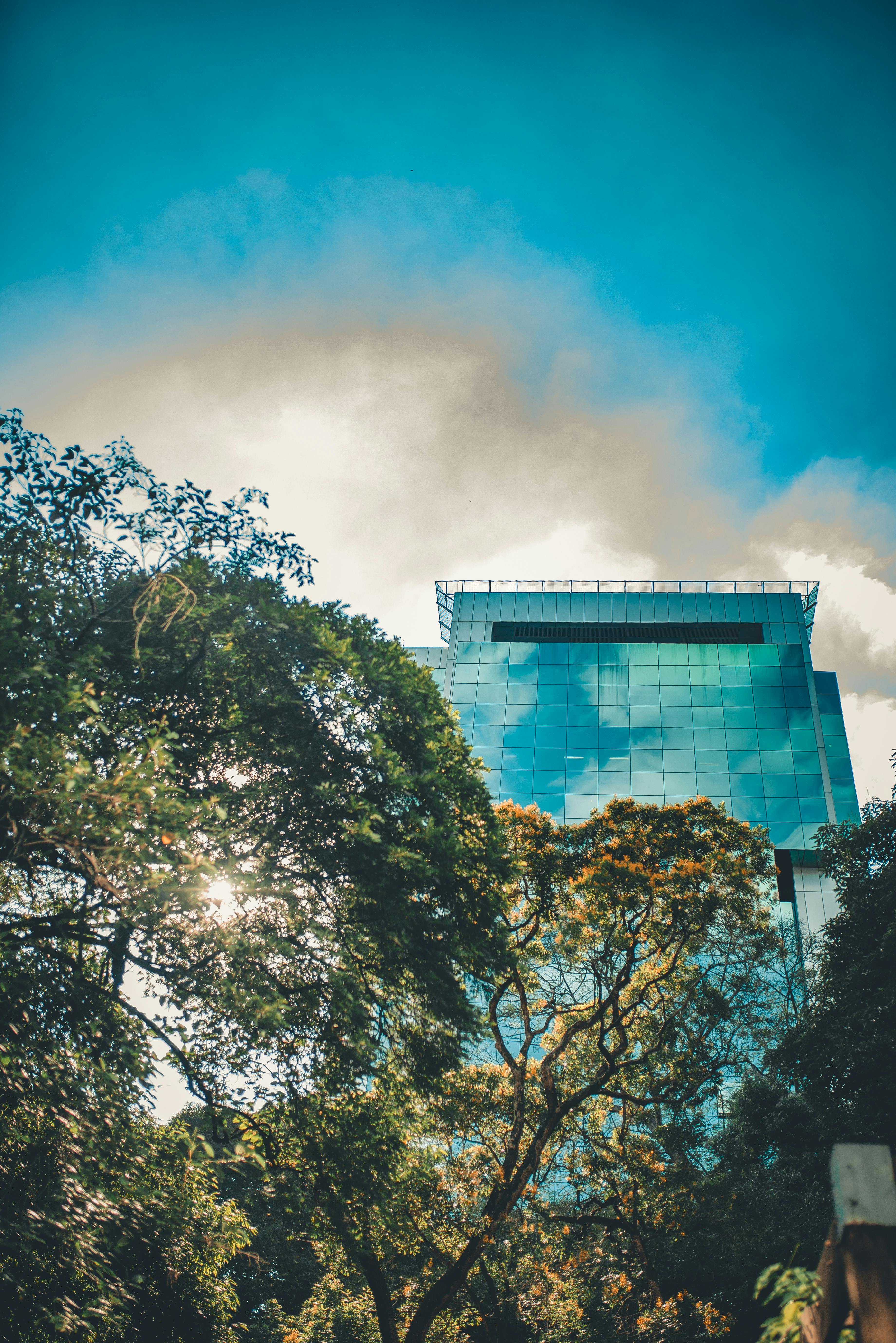 在清澈的蓝天下，一座现代化的玻璃建筑旁种植着树木，捕捉着城市与自然的融合