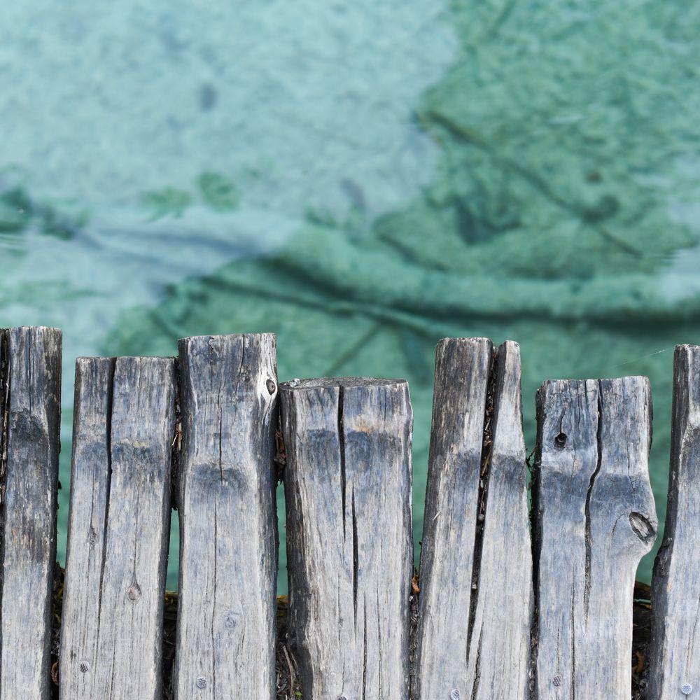 Fence and Decking Painting in Leytonstone — careful masking before painting begins