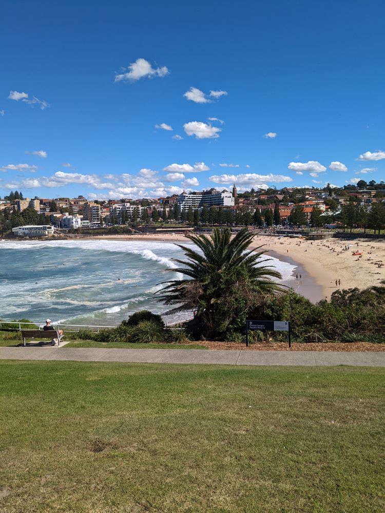 Manly Photos, Download The BEST Free Manly Stock Photos & HD Images