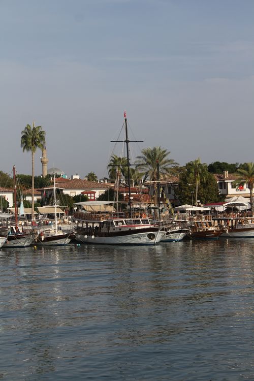 Free Explore a serene harbor with moored vessels and palm trees under a clear sky, perfect for summer travel. Stock Photo