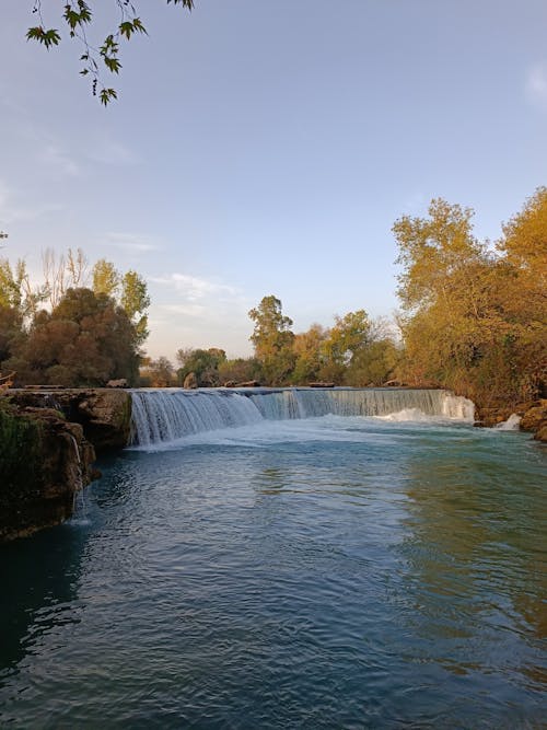 açık hava, ağaçlar, akan su içeren Ücretsiz stok fotoğraf