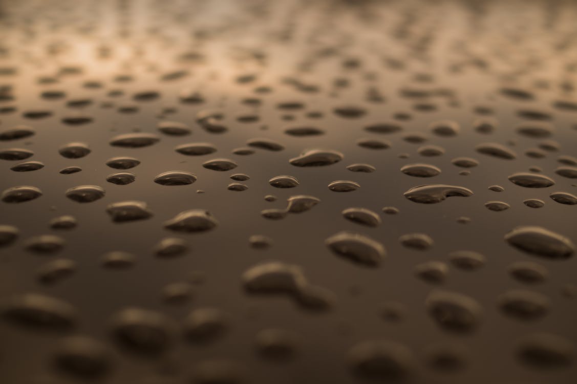 Bezpłatne Darmowe zdjęcie z galerii z krople deszczu, krople wody, powierzchnia Zdjęcie z galerii