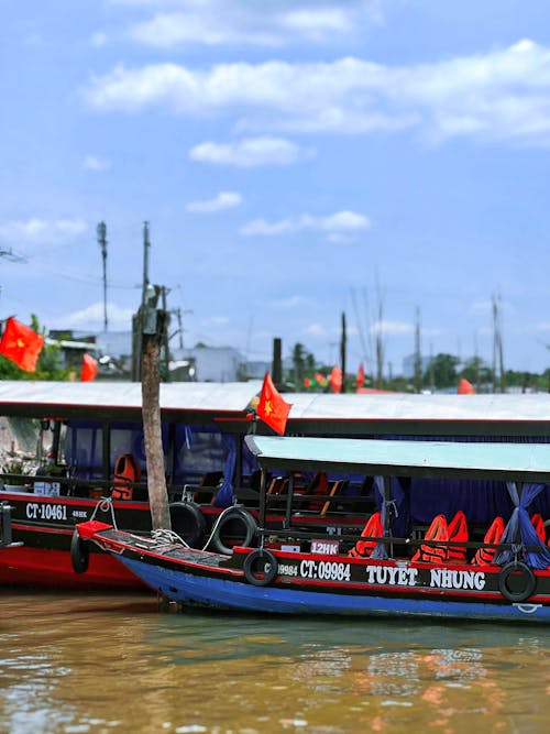 Foto profissional grátis de bandeiras, barcos, navios de passageiros