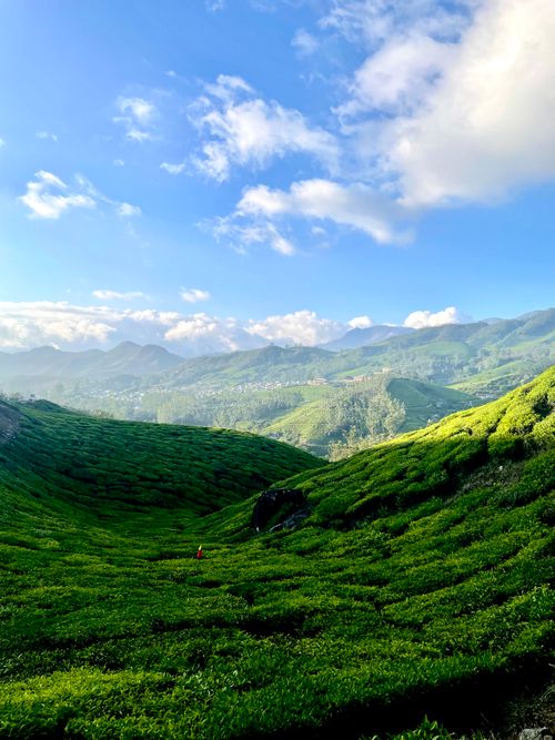 Green rolling hills, photo by Dulcei John on Pexels