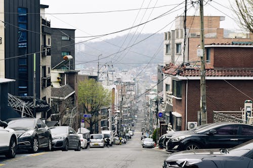 Ilmainen kuvapankkikuva tunnisteilla autot, Etelä-Korea, katu