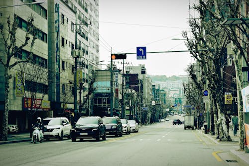 Ilmainen kuvapankkikuva tunnisteilla autot, Etelä-Korea, katu