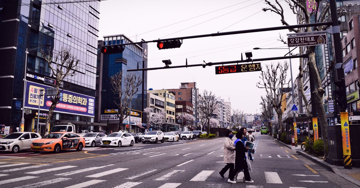 Yonsei University's AI Boosts Medical Exam Success for 42 Students