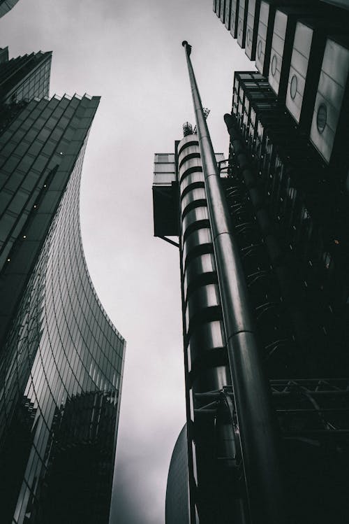 Black and white photo of tall buildings