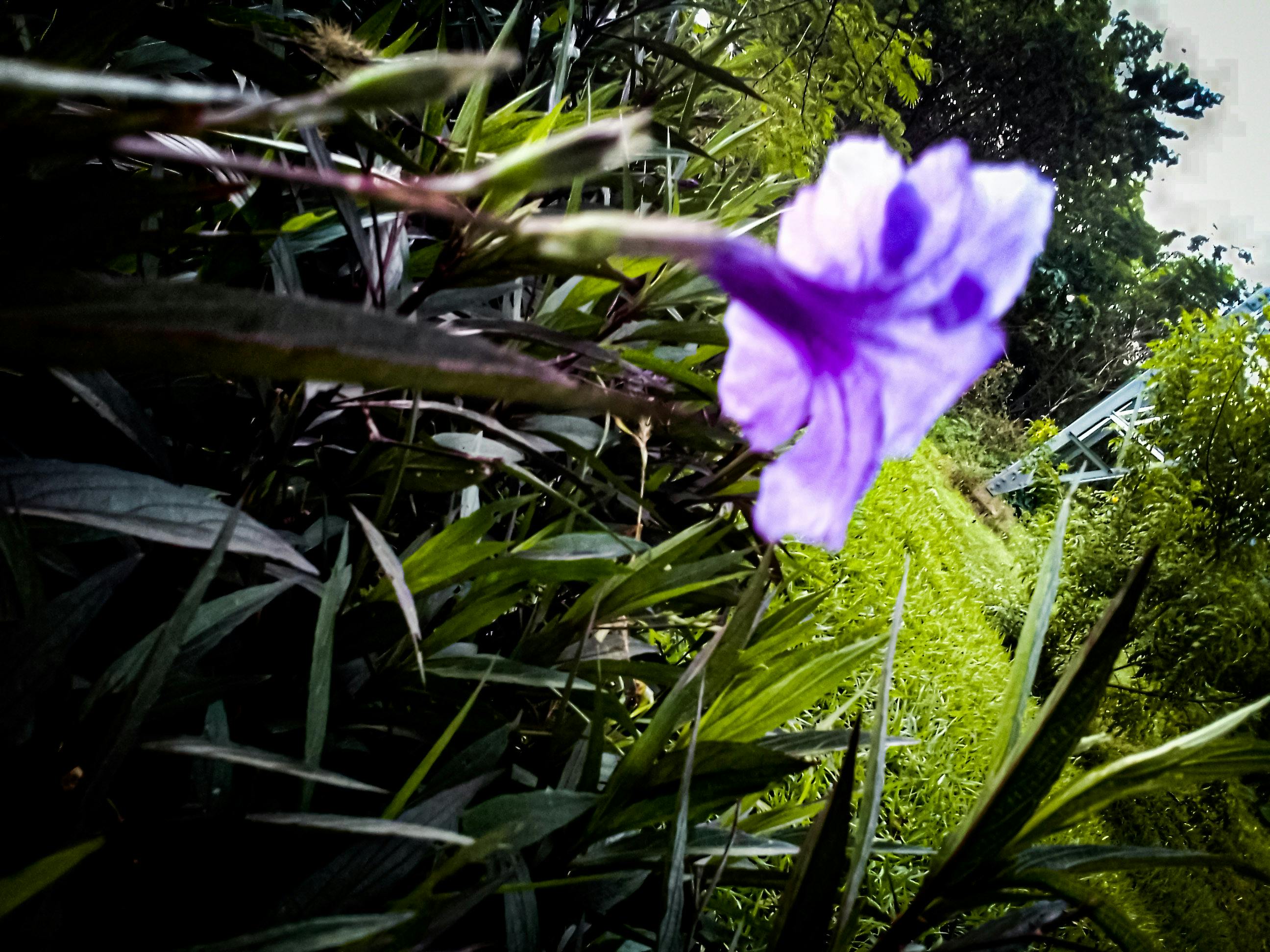 Teknisi memperbaiki AC untuk layanan service AC Lenteng Agung Jakarta Selatan