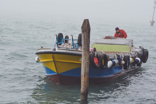 Free stock photo of boat, curie, deliver