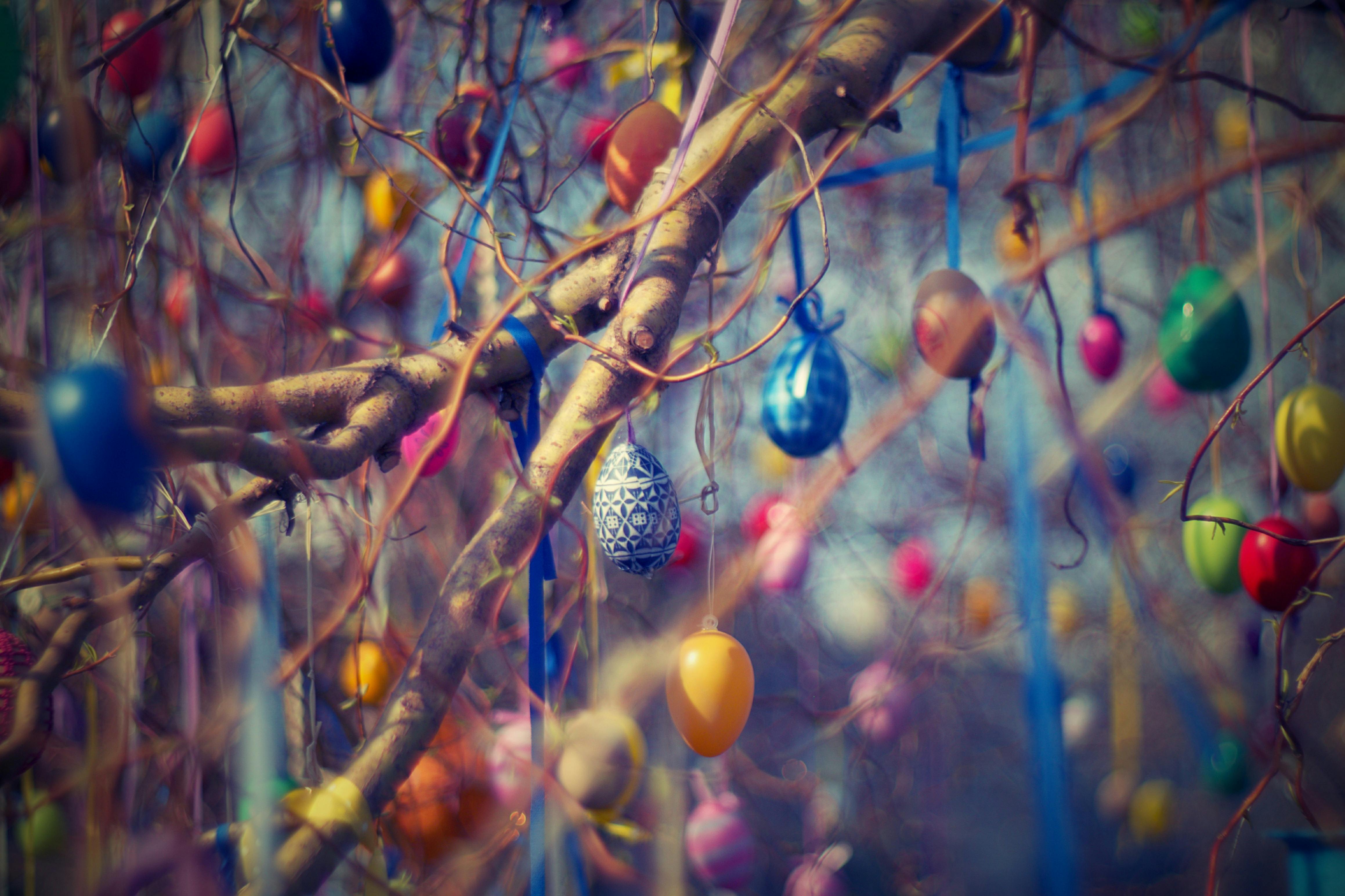 Assorted-color Hanging Decors on Tree