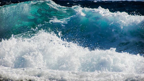 Δωρεάν στοκ φωτογραφιών με αφρός της θάλασσας, βουτιά, γκρο πλαν Φωτογραφία από στοκ φωτογραφιών