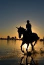 日落时海滩上骑马者的剪影，营造出宁静而充满活力的场景