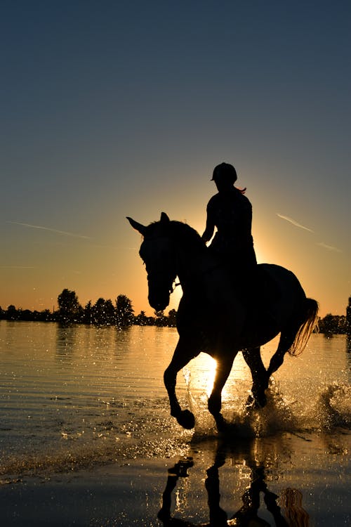 人騎著馬在黃色夕陽下的水體上的剪影