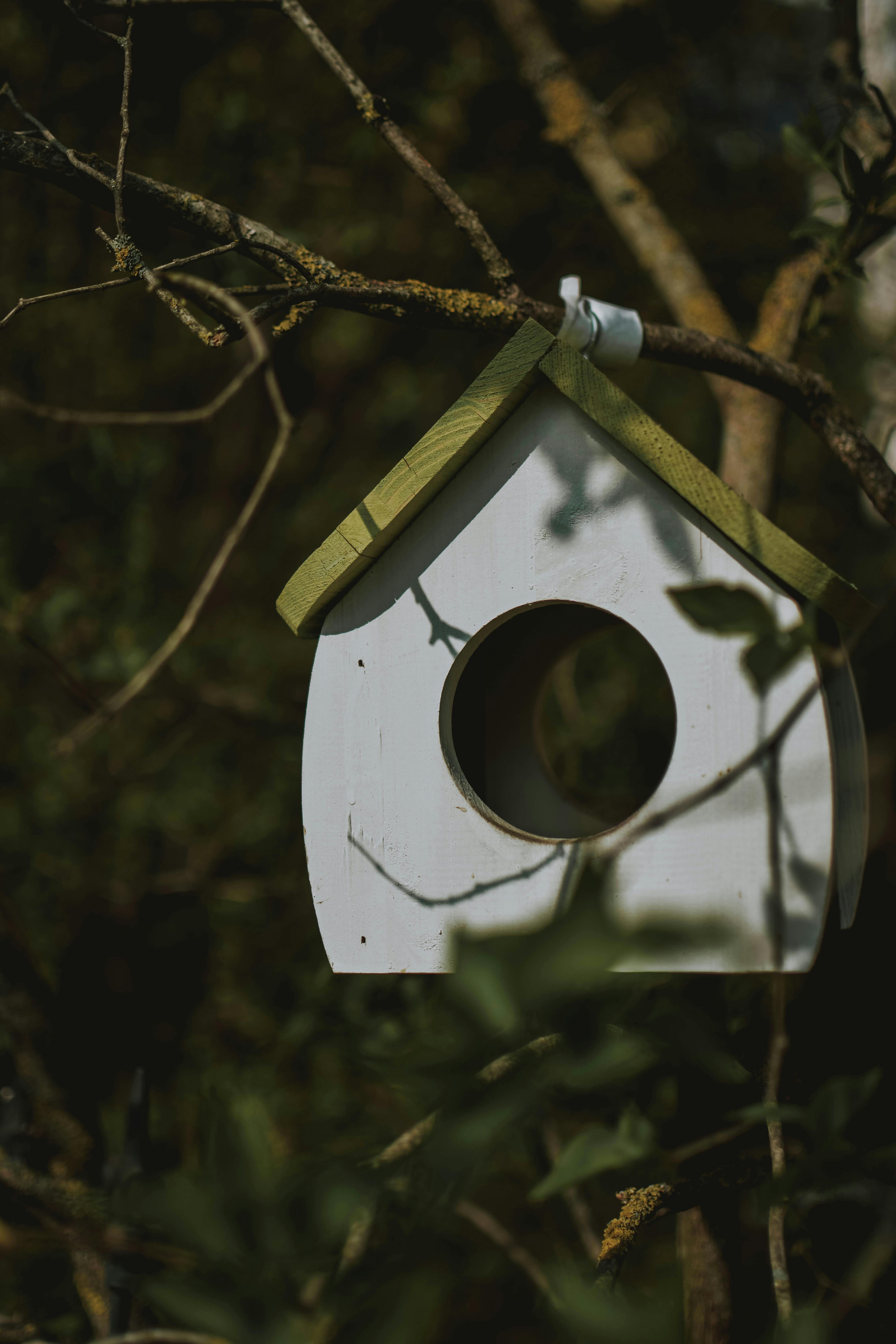 White Birdhouse · Free Stock Photo